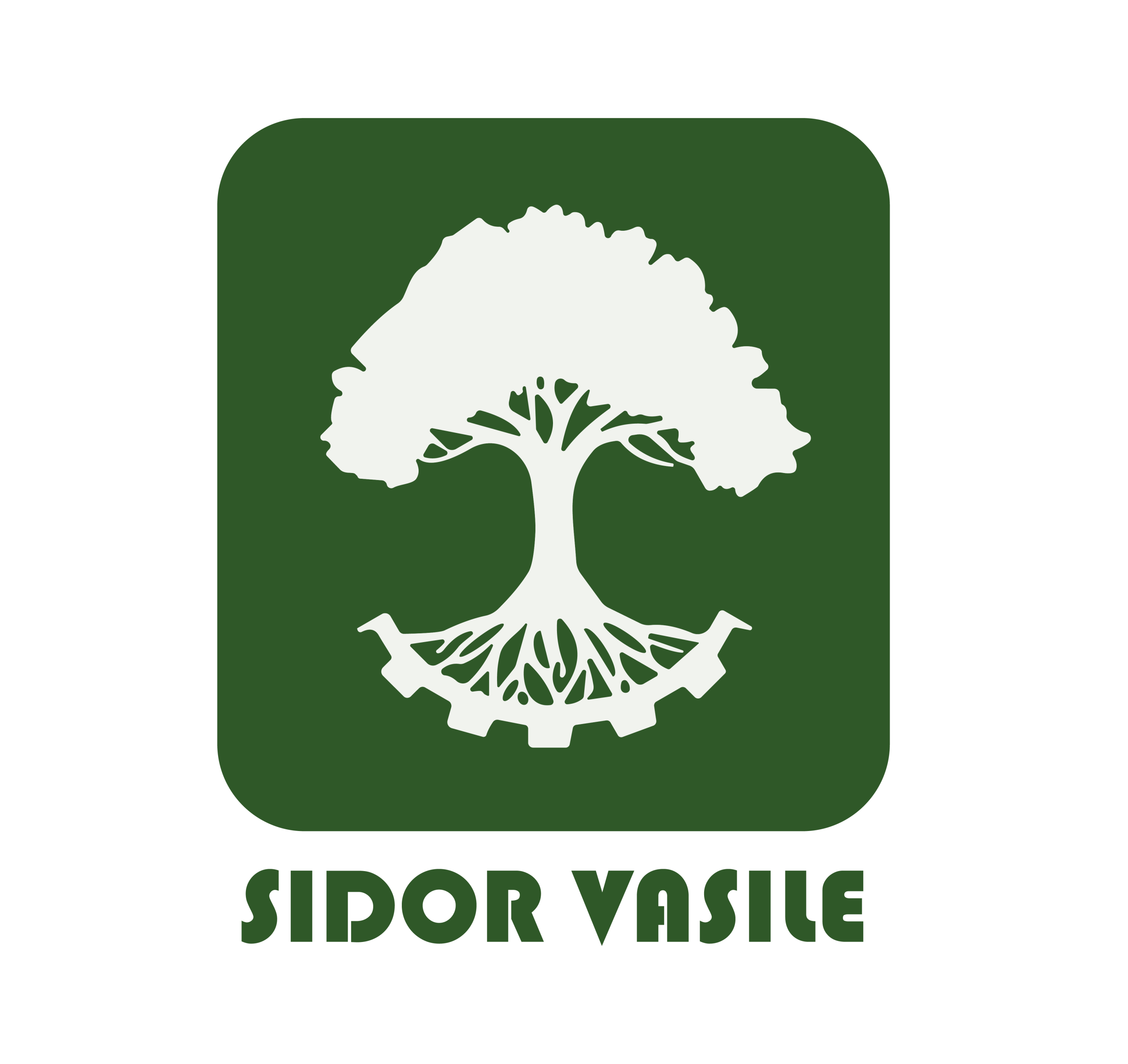 SIDOR VASILE_Logo primario